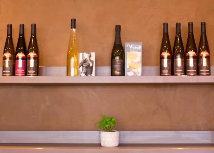 Hotel Ibis Colmar Est - Restaurant En Alsace